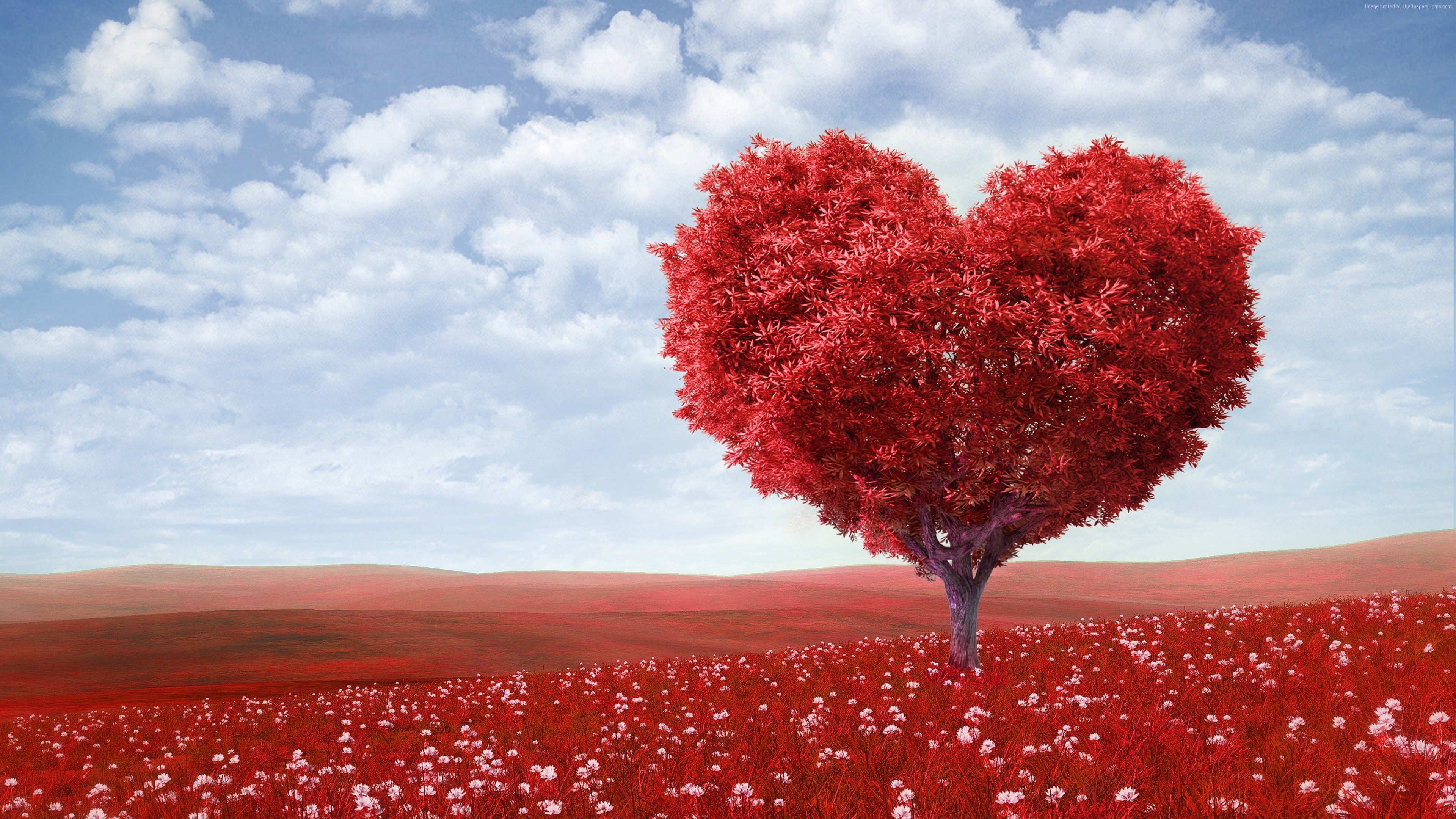 Stock Images love image, heart, 4k, tree, Stock Images